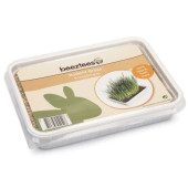 Трева Beeztees Rodent Grass за гризачи в пластмасова кутия